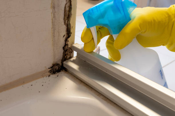 Best Mold Testing  in Creston, OH