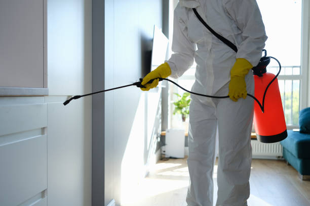 Best Fast Mold Removal  in Creston, OH
